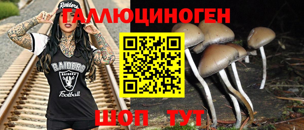 Галлюциногенные грибы Psilocybine cubensis Ялта
